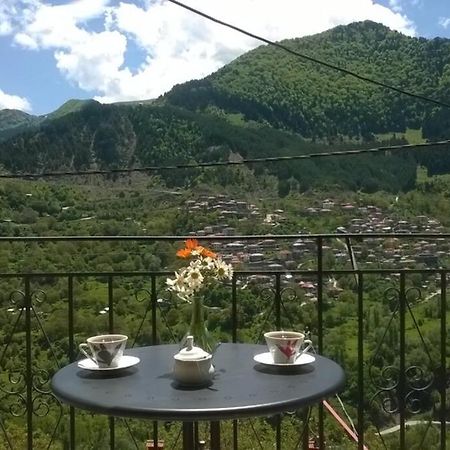 Baou House Metsovo Exterior foto